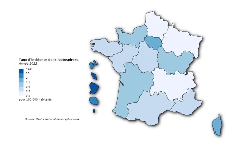 Carte - Incidences régionales des cas de leptospirose (nombre de cas/ 100 000 habitants) estimée par le CNR en France, 2022