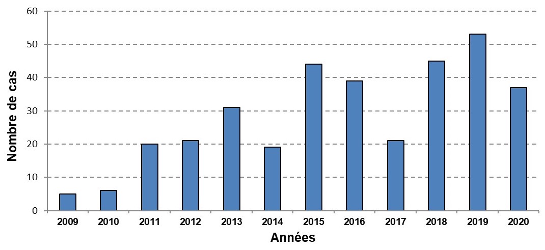 Nombre de cas de fièvre typhoïde - Mayotte, 2009-2020