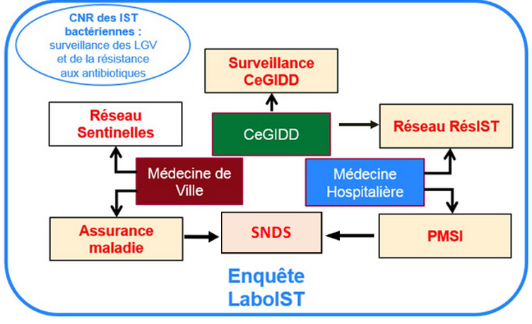 Système de surveillance des IST bactériennes