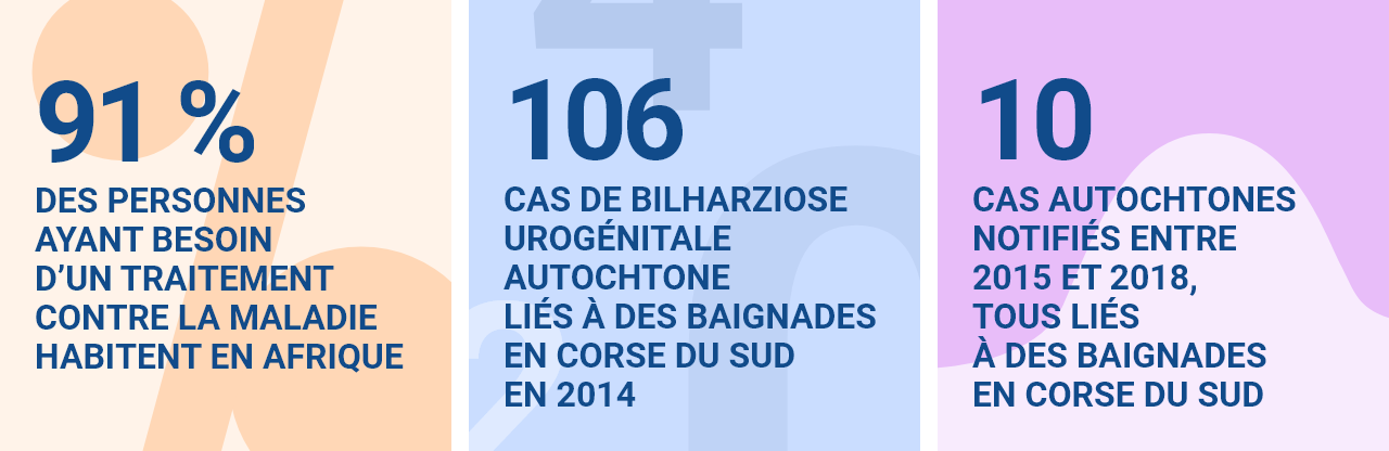 91 % des personnes ayant besoin d’un traitement contre la maladie habitent en Afrique 106 cas de bilharziose urogénitale autochtone liés à des baignades en corse du sud en 2014 10 cas autochtones notifiés entre 2015 et 2018, tous liés à des baignades en corse du sud