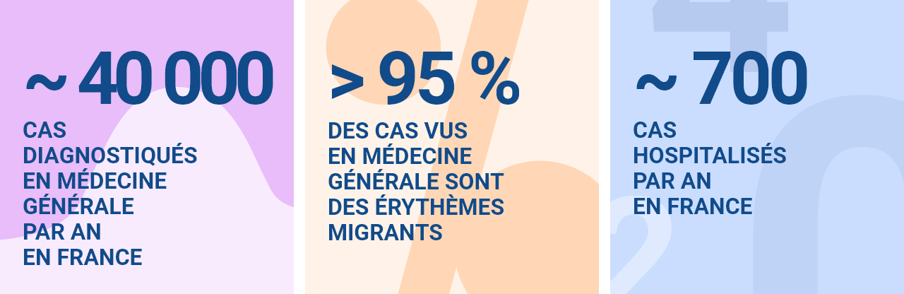 Environ 40 000 cas diagnostiqués en médecine générale par an en France depuis 1991  Près de 95 % des cas vus en médecine générale sont des érythèmes migrants  Environ  700 cas hospitalisés par an en france
