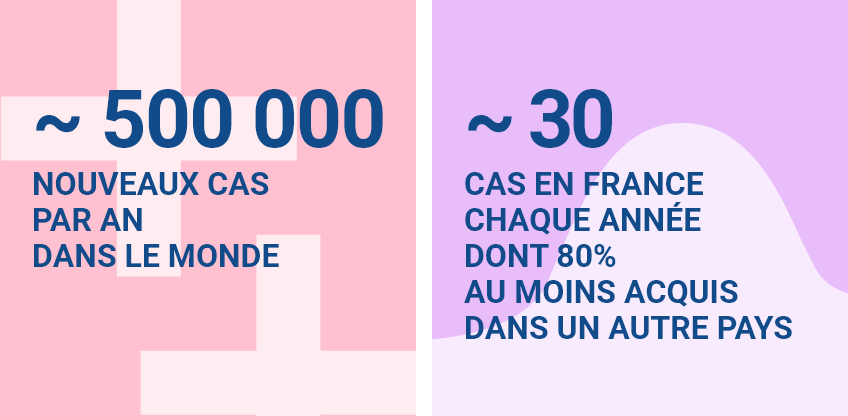 Environ 500 000 nouveaux cas par an dans le monde Environ 30 cas en France chaque année dont 80 % au moins acquis dans un autre pays