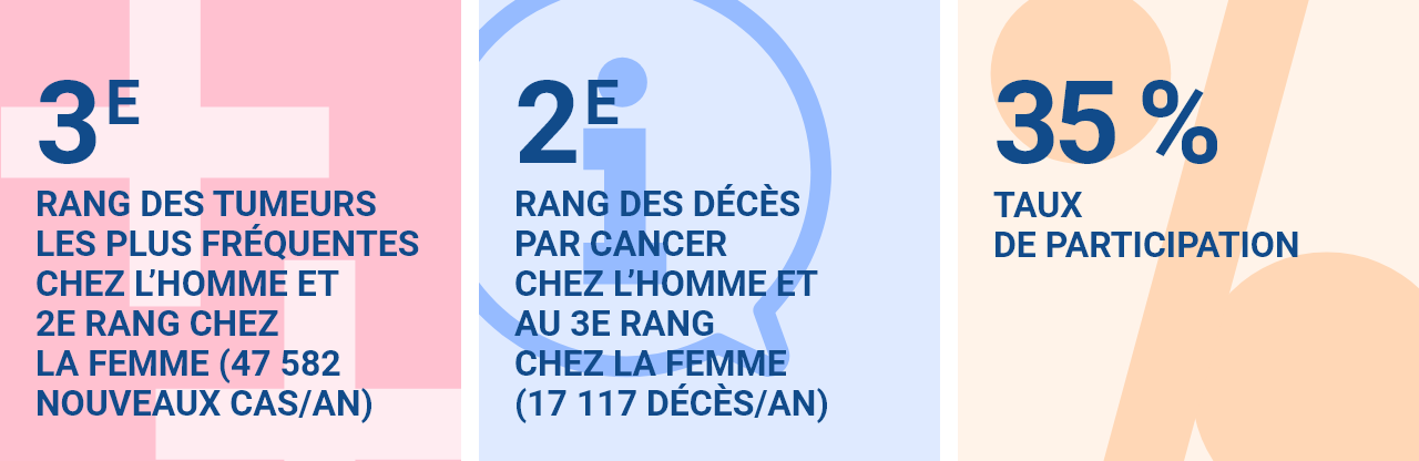 3e rang des tumeurs les plus fréquentes chez l’homme et 2e rang chez la femme (47 582 nouveaux cas/an) 2e rang des décès par cancer chez l’homme et au 3e rang chez la femme (17 117 décès/an) 35 % taux de participation