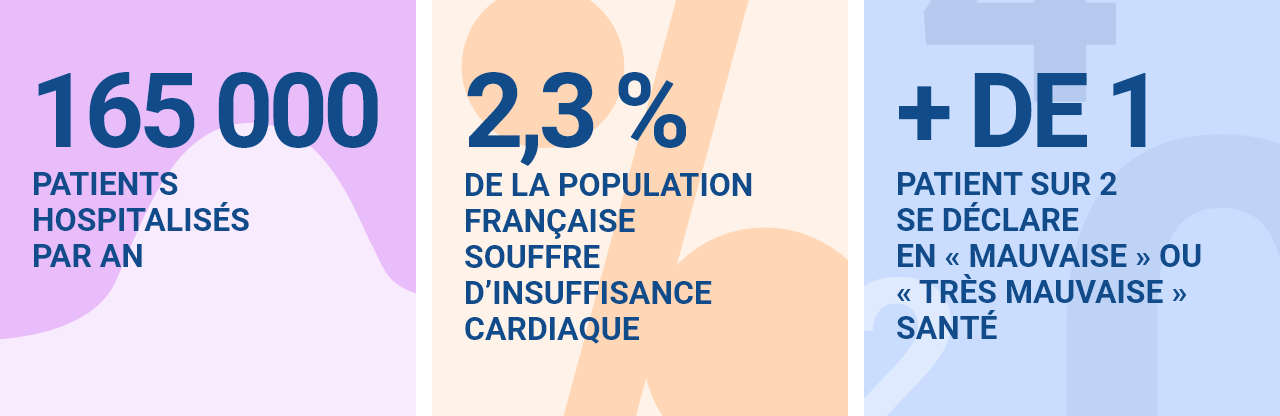 165 000 patients hospitalisés par an  2,3 % de la population française souffre d’insuffisance cardiaque Plus de 1 patient sur 2 se déclare en « mauvaise » ou « très mauvaise » santé