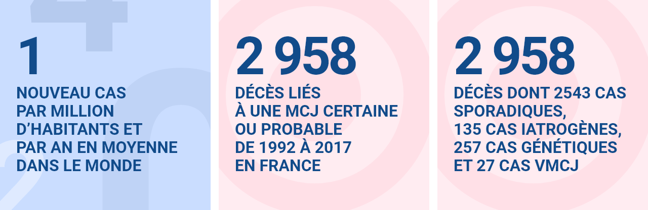 1 nouveau cas par million d’habitants et par an en moyenne dans le monde  2 958 décès liés à une mcj certaine ou probable de 1992 à 2017 en france  2 958 décès dont 2 543 cas sporadiques, 135 cas iatrogènes, 257 cas génétiques et 27 cas vmcj