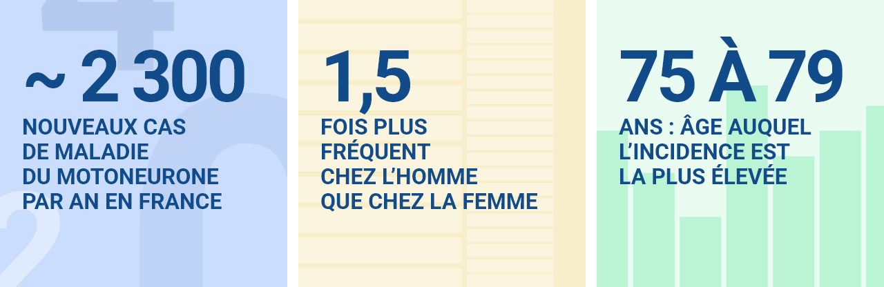 environ 2 300 nouveaux cas de maladie du motoneurone par an en france  1,5 fois plus fréquent chez l’homme que chez la femme  75 à 79 ans : âge auquel l’incidence est la plus élevée