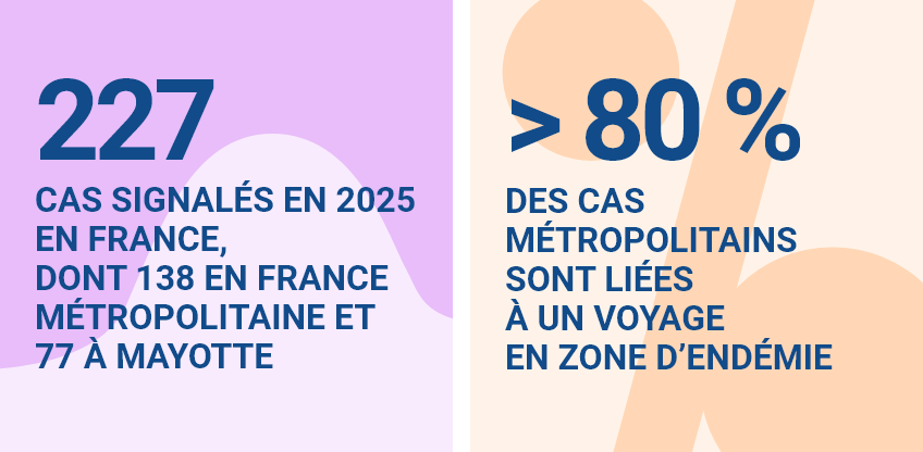 227 cas déclarés en 2025 en France, dont 138 (61%) en France Métropolitaine et 77 (34%) à Mayotte. Plus de 80% des cas métropolitains sont liées à un voyage en zone d’endémie.