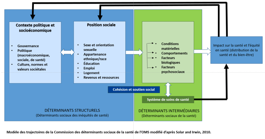 Modèle des trajectoires de la Commission des déterminants sociaux de la santé de l'OMS modifié d'après Solar and Irwin, 2010