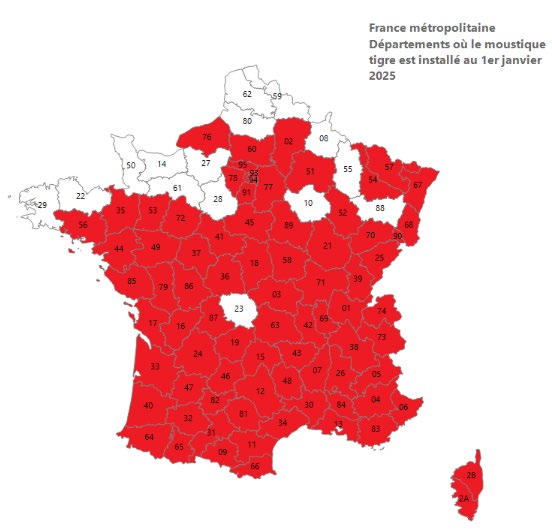 France métropolitaine déparetements ou la moustique tigre est installé au 1er janvier 2025