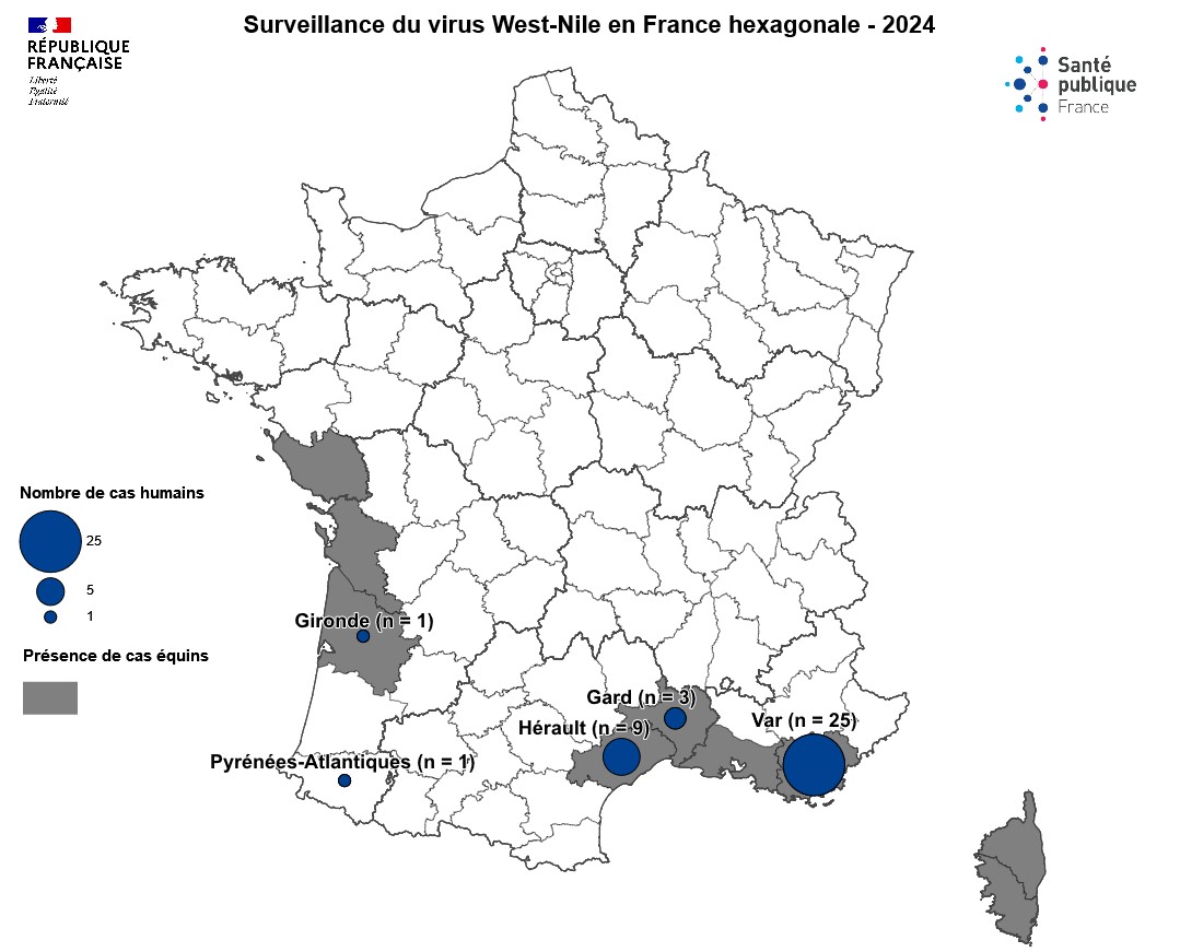 Carte des cas humains de West Nile en France hexagonale, saison 2024