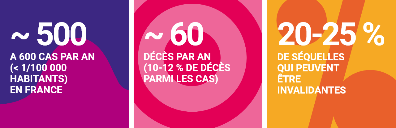 Infographie concernant les Infections invasives à méningocoque