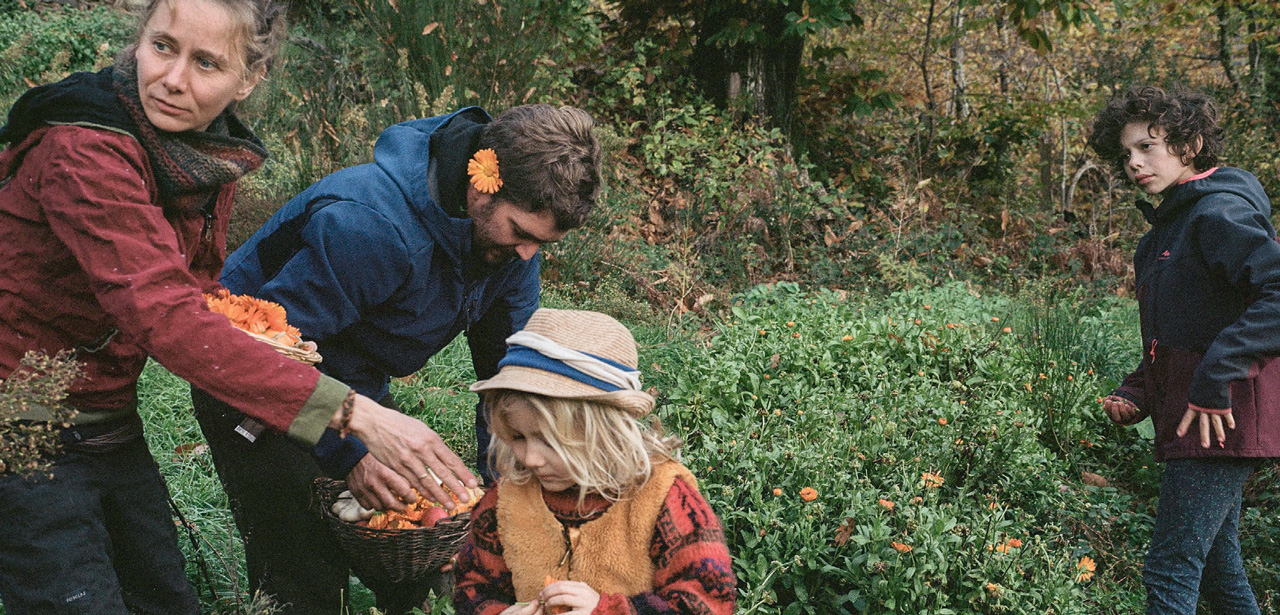 Photo d'une famille en train de ramasser des fleurs