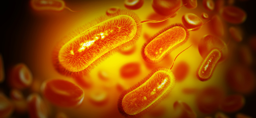 e-coli