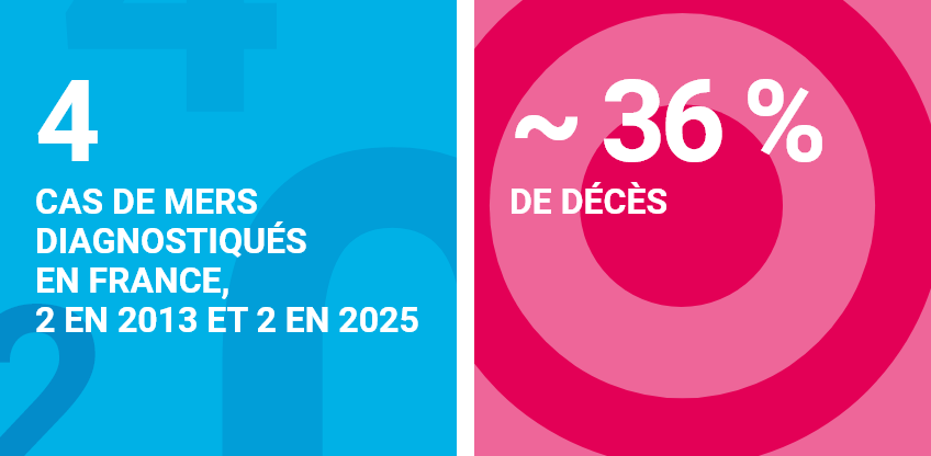 4 cas de Mers diagnostiqués en France, 2 en 2013 et 2 en 2025 ; environ 36% de décès