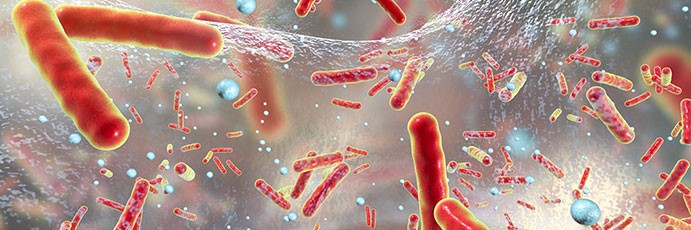 Décès attribuables et années de vie ajustées sur l’incapacité, dus à des infections par des bactéries résistantes aux antibiotiques dans l'UE et l'Espace économique européen en 2015 : une analyse de modélisation au niveau populationnel.