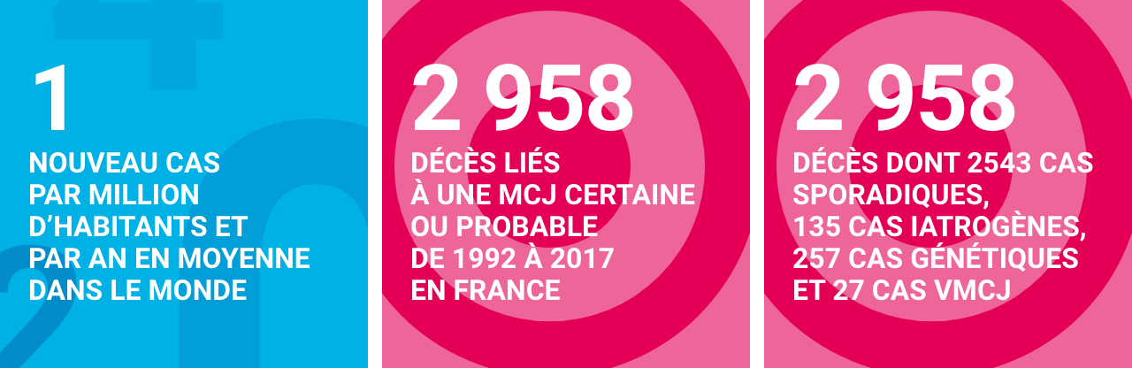 Création : à venir (1 nouveau cas de maladie de Creutzfeldt-Jakob par million d’habitants et par an en moyenne dans tous les pays du monde où elle a été étudiée / 2958 décès liés à une maladie de Creutzfeldt-Jakob certaine ou probable de 1992 à 2017 , en 