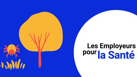 Visuel d'une tique