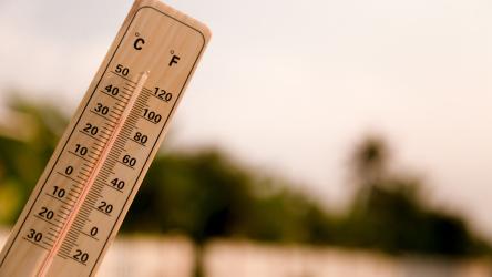 Canicule et fortes chaleurs : lancement de la veille saisonnière