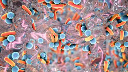 image représentant des bactéries résistantes aux antibiotiques