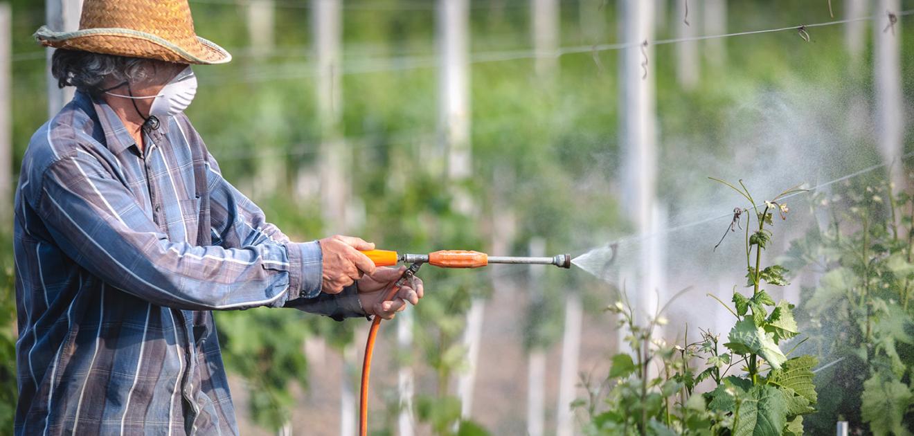 Visuel illustrant un homme en train de diffuser des produits sur ses cultures