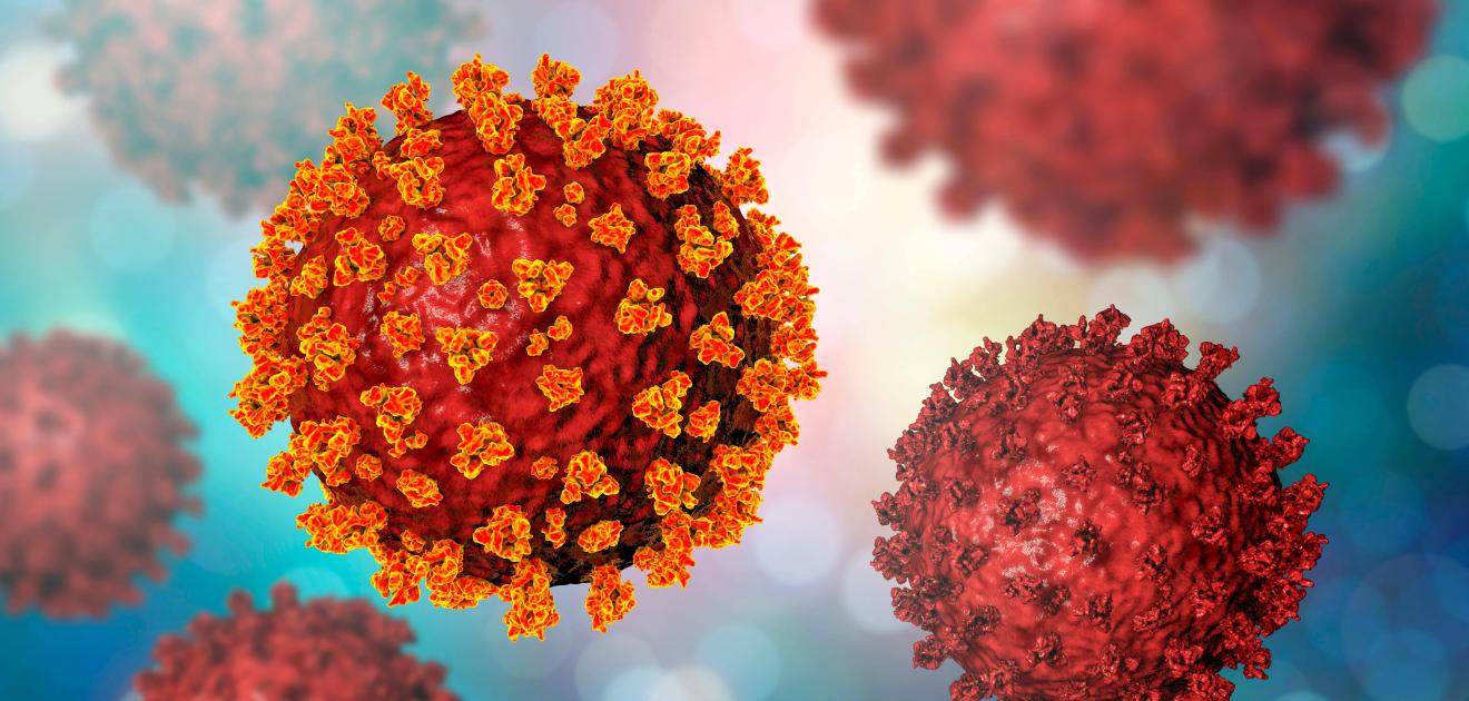 variant omicron, réinfections covid, santé publique france