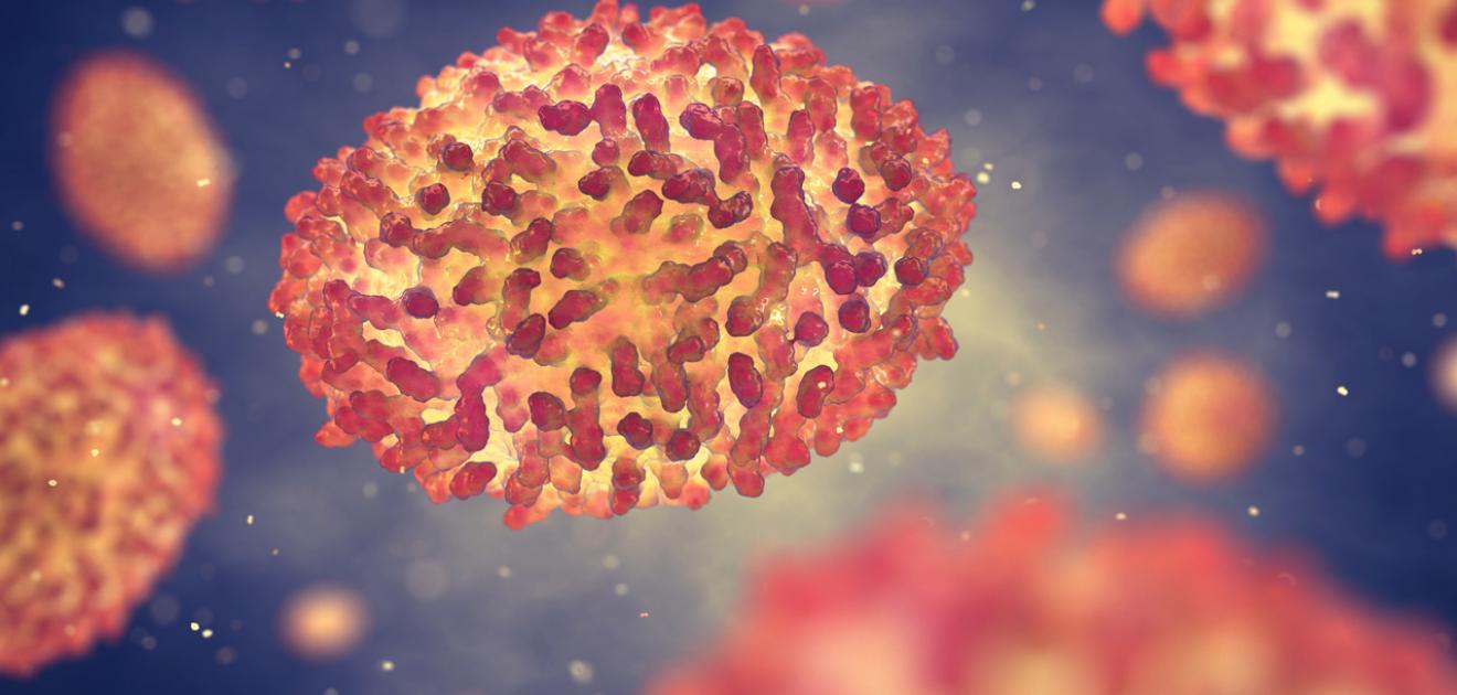 Visuel du virus de la variole du singe - Monkeypox