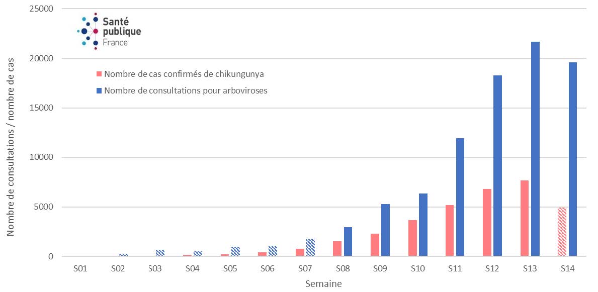 Source : données ARS La Réunion, Réseau de médecins sentinelles de La Réunion, CGSS Réunion, données mises à jour le 15/04/2025. Exploitation : Santé publique France La Réunion. Données non consolidées en S14.