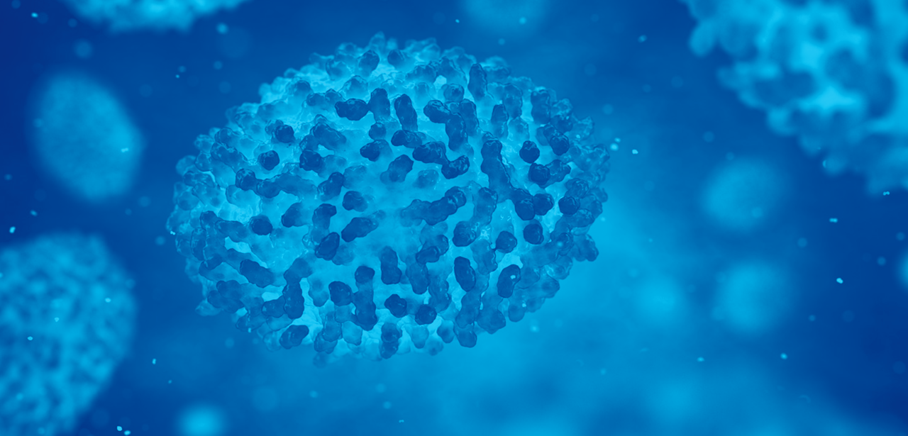 Visuel du virus de la variole du singe - Monkeypox