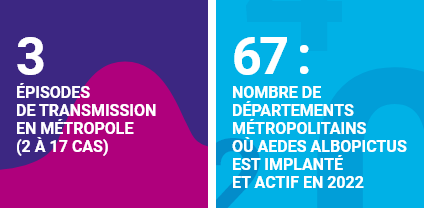 Infographie concernant le chikungunya