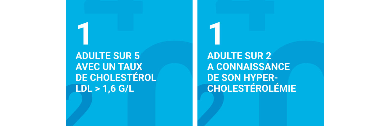 Infographie concernant l’hypercholestérolémie