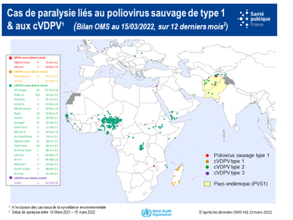 Carte sur la situation endémique de la poliomylétite