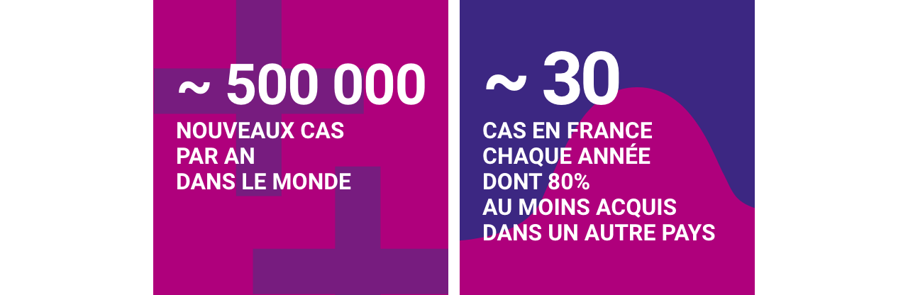 Infographie concernant la brucellose