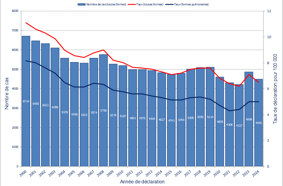 Nombre total de cas et taux de déclaration de tuberculose, France, 2000-2024