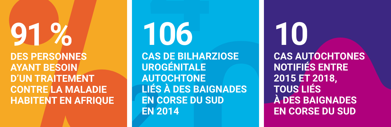 Infographie concernant la bilharziose urogénitale