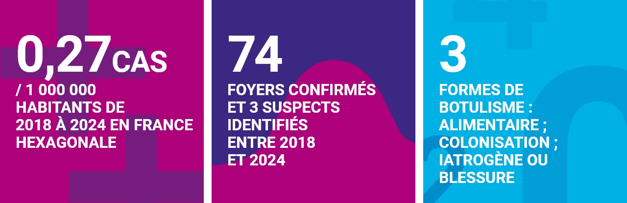 0,27 cas / 1000 000 habitants de 2018 à 2024 en France hexagonale. 74 foyers identifiés entre 2018 et 2024, comptabilisant 122 malades (dont 107 hospitalisés et 1 déces). 3 formes de botulisme : alimentaire, colonisation, iatrogène ou blessure