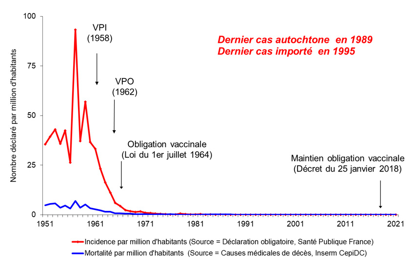 La poliomyélite antérieure aiguë en France de 1949 à 2021