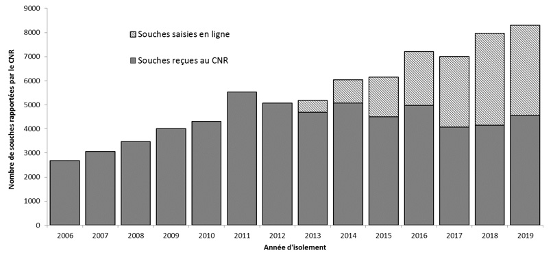 Nombre de souches de Campylobacter et bactéries apparentées rapportées par le CNR et son réseau de laboratoires, France, 2006-2019