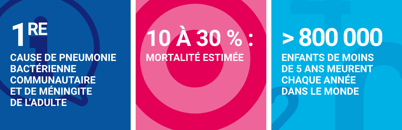 à venir (1ère cause de pneumonie bactérienne communautaire et de méningite de l’adulte / Mortalité estimée entre 10% à 30% / 800 000 enfants de moins de 5 ans meurent chaque année dans le monde).