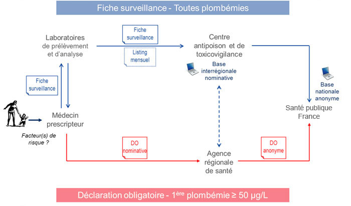 circuit de recueil des informations dans le cadre d’une déclaration obligatoire de saturnisme infantile