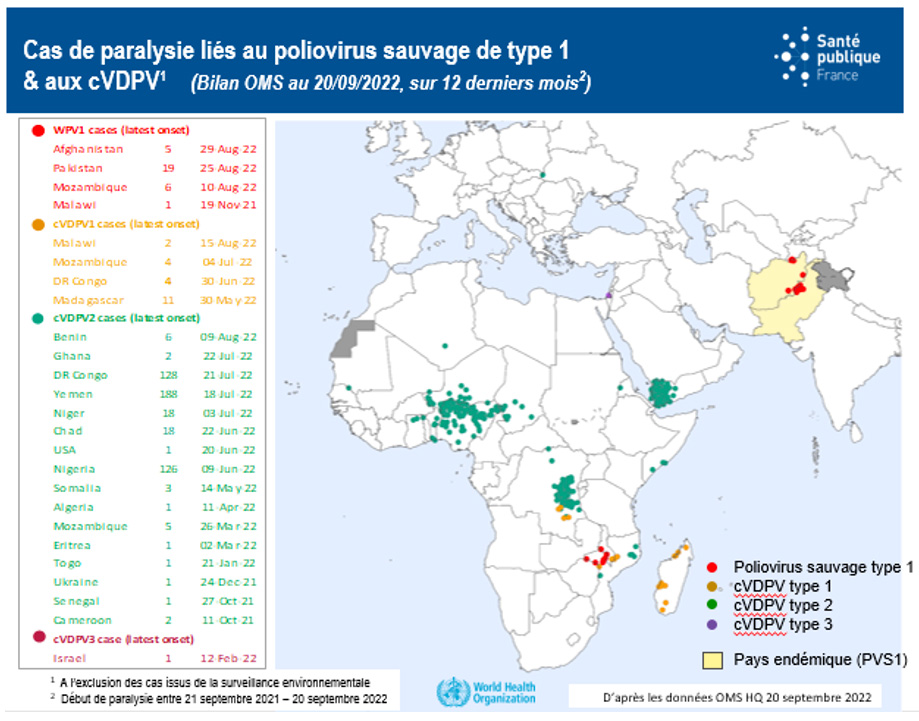Carte représentant les cas de paralysie liés au poliovirus sauvage de type 1 et aux cVPDV, bilan OMS au 20/09/22