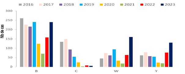 Nombre de cas d'infections invasives a méningocoque selon les principaux sérogroupes, France entière, 2016-2023