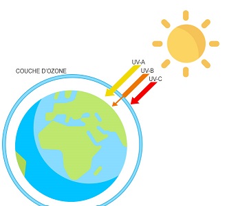 3 types d’ultraviolets