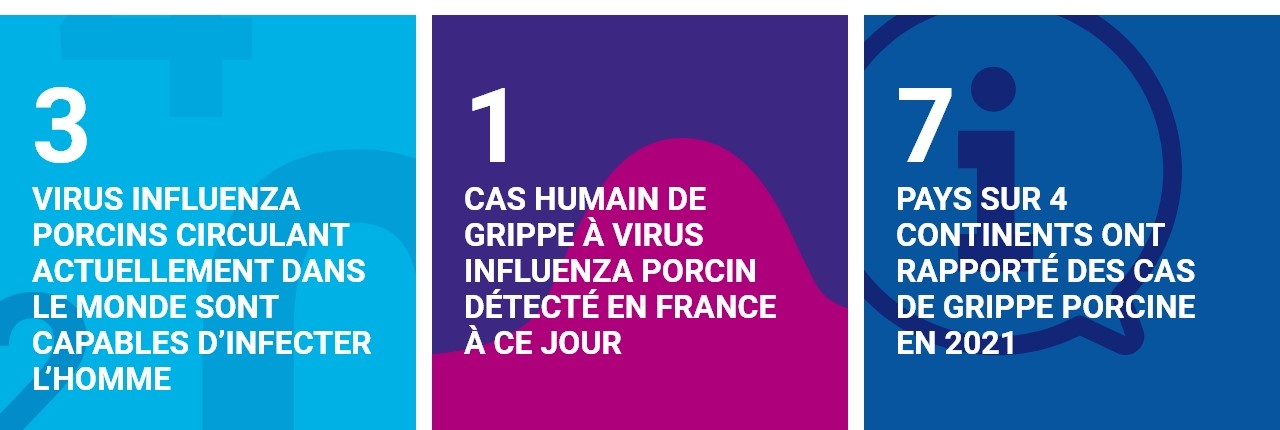 Chiffres clés de la grippe porcine