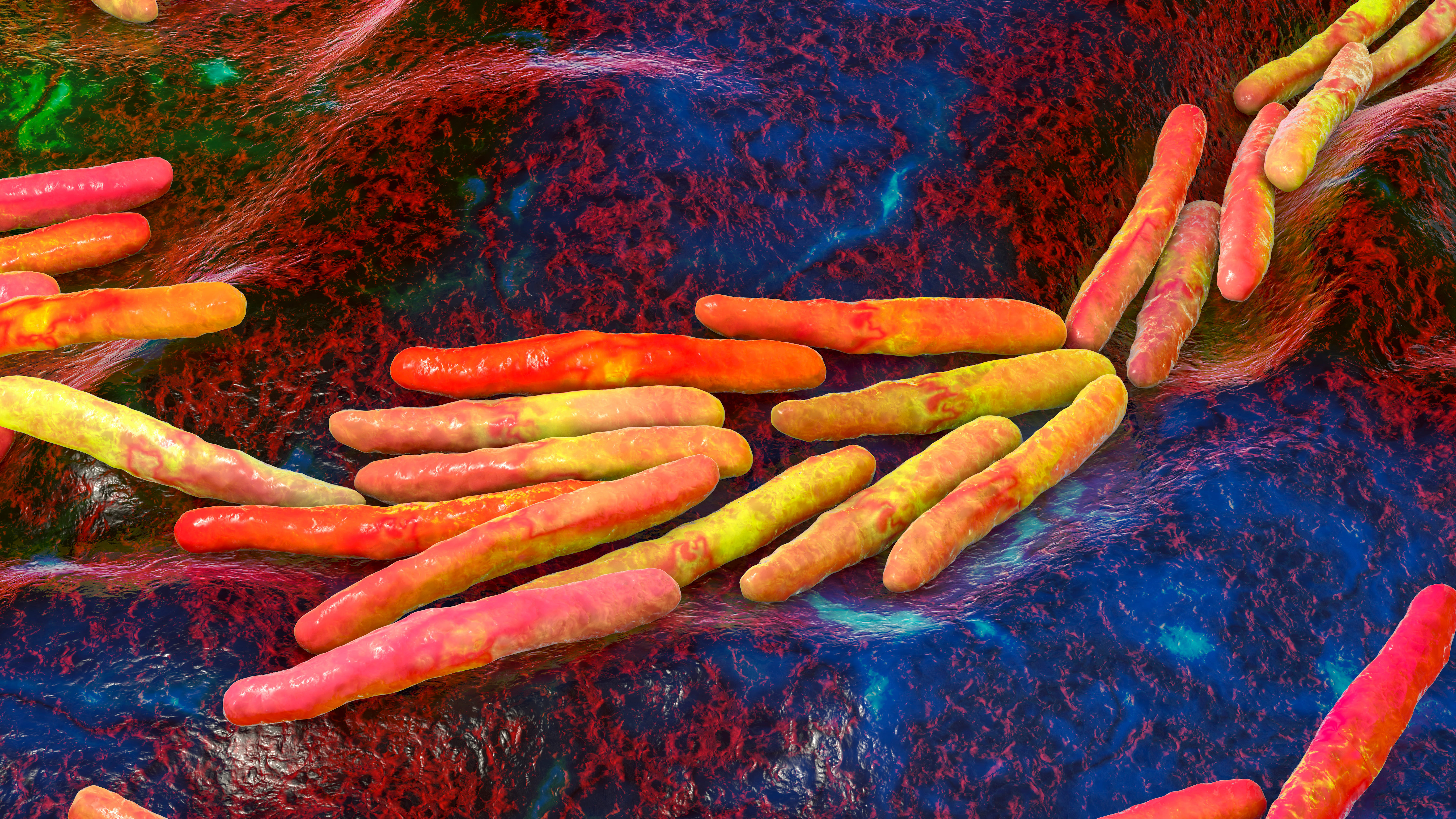 Illustration des bactéries de la tuberculose