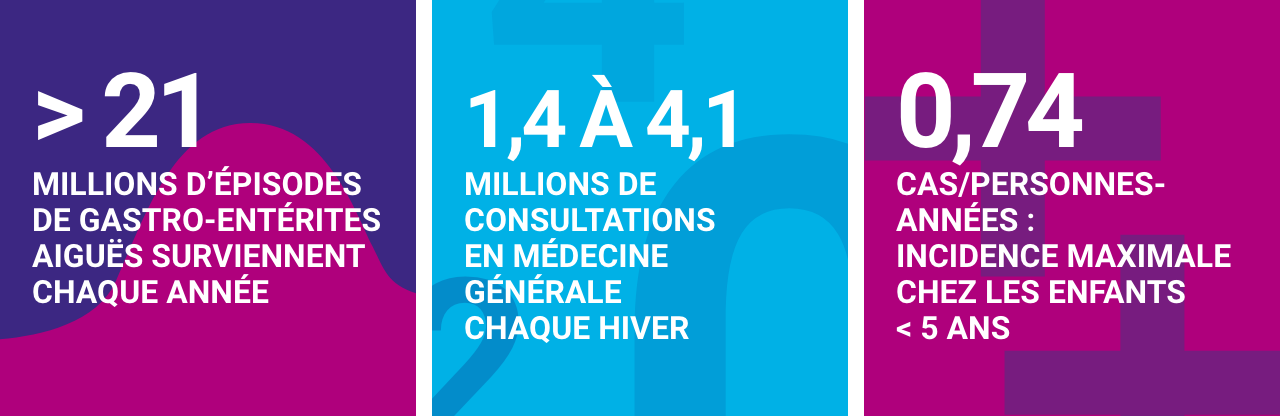 Infographie concernant la gastro-entérite aiguë