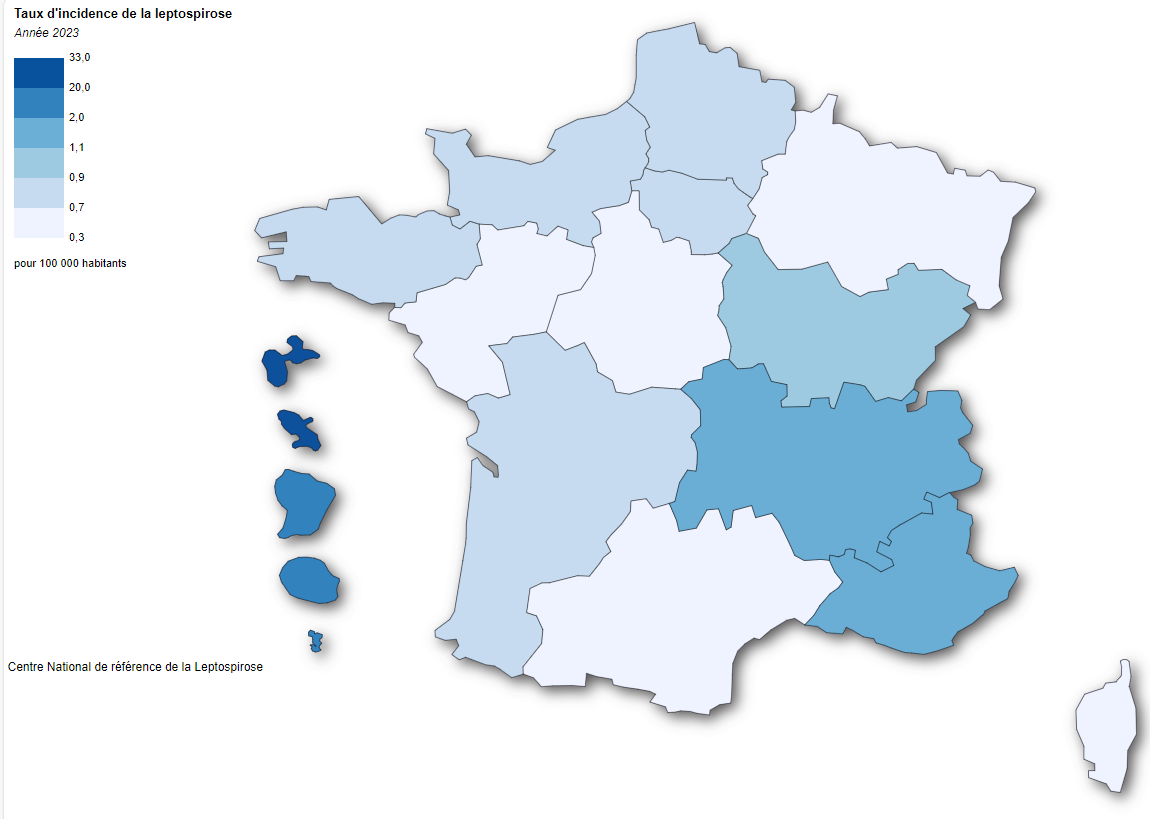 Carte - Incidences régionales des cas de leptospirose (nombre de cas/ 100 000 habitants) estimée par le CNR en France, 2023
