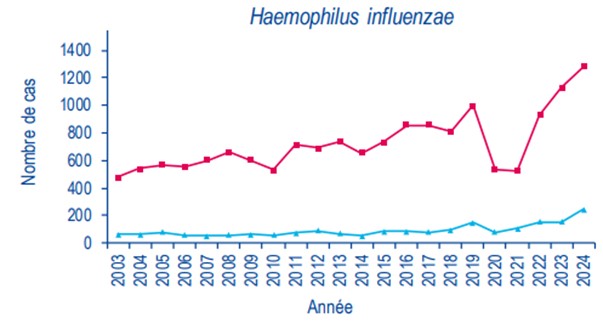 Évolution en hausse depuis 2022 du nombres estimés de méningites et bactériémies par bactérie, Epibac, France hexagonale 2003-2024