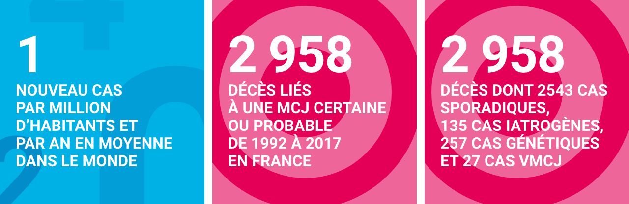 Création : à venir (1 nouveau cas de maladie de Creutzfeldt-Jakob par million d’habitants et par an en moyenne dans tous les pays du monde où elle a été étudiée / 2958 décès liés à une maladie de Creutzfeldt-Jakob certaine ou probable de 1992 à 2017 , en France / Parmi les 2958 cas en France : 2543 (86 %) cas sporadiques ; 135 cas iatrogènes ; 257 cas génétiques et 27 cas vMCJ).