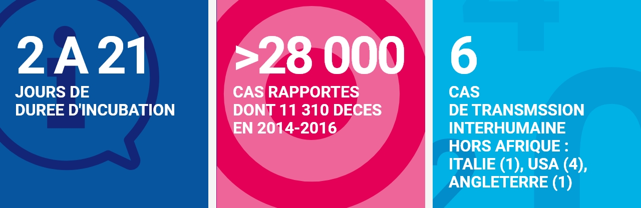 Une incubation de 2 à 21 jours / plus de 280 000 cas d’Ebola ont été rapportés dont 11 310 décès en 2014-2016 / 6 cas de transmission interhumaine hors Afrique : Italie (1), USA (4), Angleterre (1)