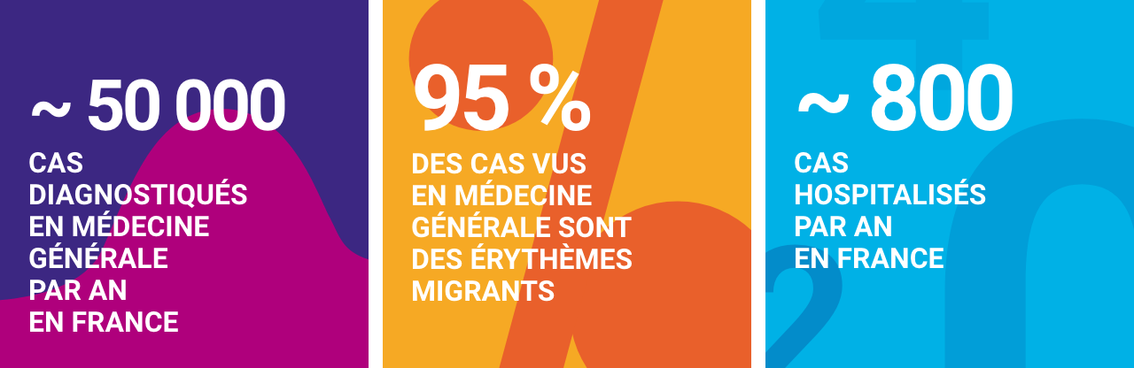 Infographie concernant la borreliose de lyme